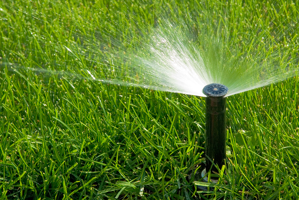 Qual A Diferença Entre Irrigação E Drenagem